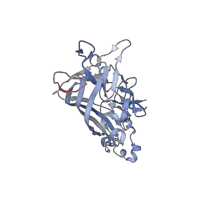 21668_6wh7_C_v1-4
Capsid structure of Penaeus monodon metallodensovirus following EDTA treatment