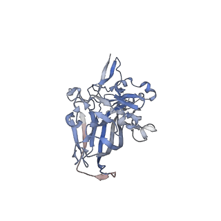 21668_6wh7_D_v1-3
Capsid structure of Penaeus monodon metallodensovirus following EDTA treatment