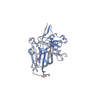 21668_6wh7_D_v1-4
Capsid structure of Penaeus monodon metallodensovirus following EDTA treatment