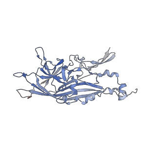21668_6wh7_F_v1-3
Capsid structure of Penaeus monodon metallodensovirus following EDTA treatment