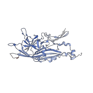 21668_6wh7_F_v1-4
Capsid structure of Penaeus monodon metallodensovirus following EDTA treatment