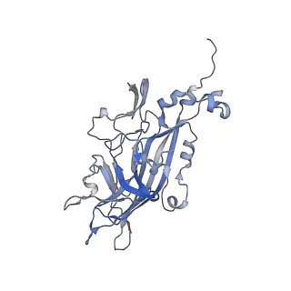 21668_6wh7_I_v1-3
Capsid structure of Penaeus monodon metallodensovirus following EDTA treatment