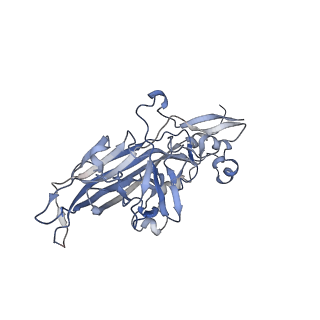 21668_6wh7_J_v1-3
Capsid structure of Penaeus monodon metallodensovirus following EDTA treatment