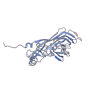 21668_6wh7_K_v1-3
Capsid structure of Penaeus monodon metallodensovirus following EDTA treatment