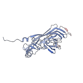 21668_6wh7_K_v1-4
Capsid structure of Penaeus monodon metallodensovirus following EDTA treatment