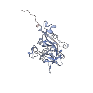 21668_6wh7_L_v1-3
Capsid structure of Penaeus monodon metallodensovirus following EDTA treatment