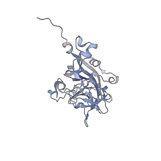 21668_6wh7_L_v1-4
Capsid structure of Penaeus monodon metallodensovirus following EDTA treatment