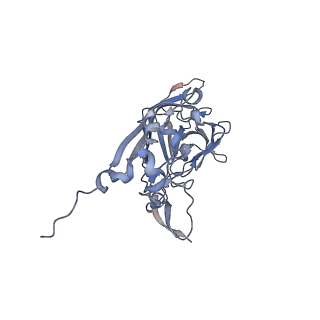 21668_6wh7_M_v1-3
Capsid structure of Penaeus monodon metallodensovirus following EDTA treatment