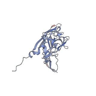 21668_6wh7_M_v1-4
Capsid structure of Penaeus monodon metallodensovirus following EDTA treatment