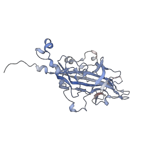 21668_6wh7_N_v1-3
Capsid structure of Penaeus monodon metallodensovirus following EDTA treatment