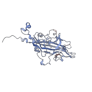 21668_6wh7_N_v1-4
Capsid structure of Penaeus monodon metallodensovirus following EDTA treatment