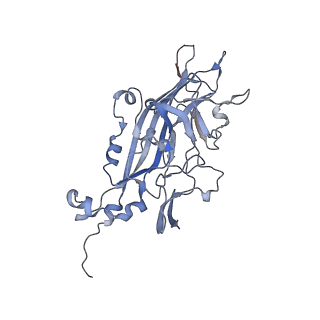 21668_6wh7_Q_v1-3
Capsid structure of Penaeus monodon metallodensovirus following EDTA treatment