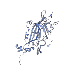 21668_6wh7_Q_v1-4
Capsid structure of Penaeus monodon metallodensovirus following EDTA treatment