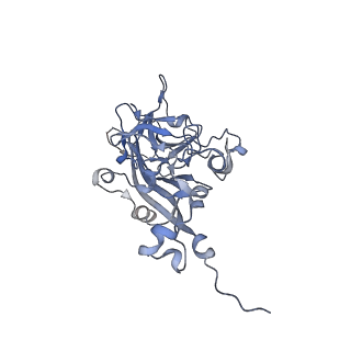 21668_6wh7_U_v1-3
Capsid structure of Penaeus monodon metallodensovirus following EDTA treatment