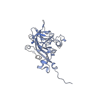 21668_6wh7_U_v1-4
Capsid structure of Penaeus monodon metallodensovirus following EDTA treatment