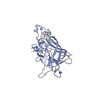 21668_6wh7_V_v1-4
Capsid structure of Penaeus monodon metallodensovirus following EDTA treatment