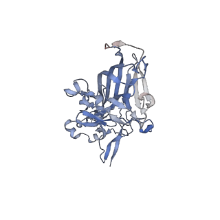 21668_6wh7_W_v1-3
Capsid structure of Penaeus monodon metallodensovirus following EDTA treatment