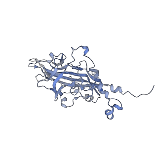 21668_6wh7_Y_v1-3
Capsid structure of Penaeus monodon metallodensovirus following EDTA treatment