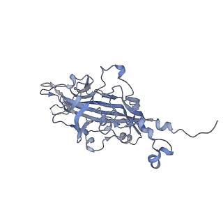 21668_6wh7_Y_v1-4
Capsid structure of Penaeus monodon metallodensovirus following EDTA treatment