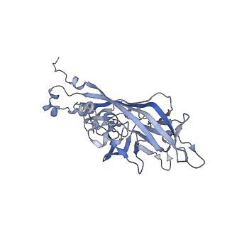 21668_6wh7_Z_v1-3
Capsid structure of Penaeus monodon metallodensovirus following EDTA treatment