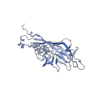 21668_6wh7_Z_v1-4
Capsid structure of Penaeus monodon metallodensovirus following EDTA treatment