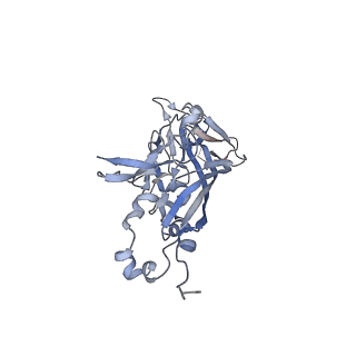 21668_6wh7_a_v1-3
Capsid structure of Penaeus monodon metallodensovirus following EDTA treatment