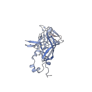 21668_6wh7_a_v1-4
Capsid structure of Penaeus monodon metallodensovirus following EDTA treatment