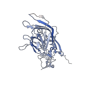 21668_6wh7_b_v1-3
Capsid structure of Penaeus monodon metallodensovirus following EDTA treatment