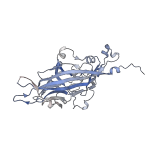 21668_6wh7_c_v1-3
Capsid structure of Penaeus monodon metallodensovirus following EDTA treatment