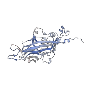 21668_6wh7_c_v1-4
Capsid structure of Penaeus monodon metallodensovirus following EDTA treatment