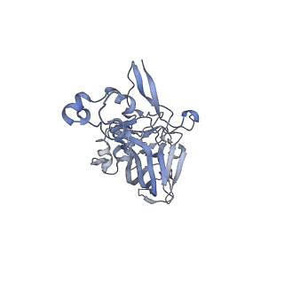 21668_6wh7_e_v1-3
Capsid structure of Penaeus monodon metallodensovirus following EDTA treatment