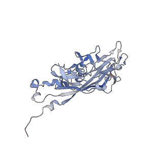 21668_6wh7_f_v1-3
Capsid structure of Penaeus monodon metallodensovirus following EDTA treatment