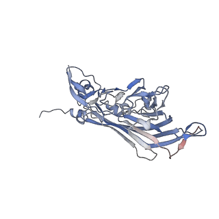 21668_6wh7_g_v1-3
Capsid structure of Penaeus monodon metallodensovirus following EDTA treatment