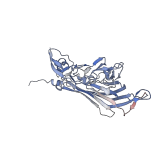 21668_6wh7_g_v1-4
Capsid structure of Penaeus monodon metallodensovirus following EDTA treatment