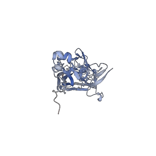 21668_6wh7_h_v1-3
Capsid structure of Penaeus monodon metallodensovirus following EDTA treatment