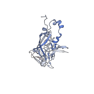 21668_6wh7_j_v1-3
Capsid structure of Penaeus monodon metallodensovirus following EDTA treatment