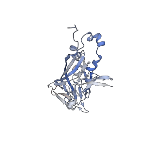 21668_6wh7_j_v1-4
Capsid structure of Penaeus monodon metallodensovirus following EDTA treatment