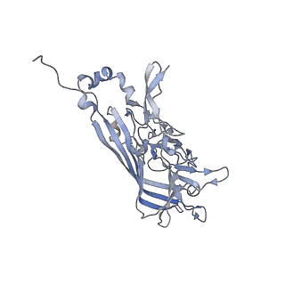 21668_6wh7_k_v1-3
Capsid structure of Penaeus monodon metallodensovirus following EDTA treatment