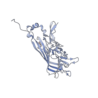 21668_6wh7_k_v1-4
Capsid structure of Penaeus monodon metallodensovirus following EDTA treatment