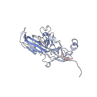 21668_6wh7_l_v1-3
Capsid structure of Penaeus monodon metallodensovirus following EDTA treatment
