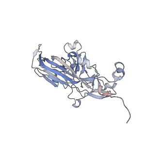 21668_6wh7_l_v1-4
Capsid structure of Penaeus monodon metallodensovirus following EDTA treatment