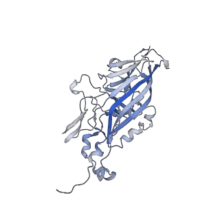 21668_6wh7_n_v1-3
Capsid structure of Penaeus monodon metallodensovirus following EDTA treatment