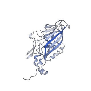 21668_6wh7_n_v1-4
Capsid structure of Penaeus monodon metallodensovirus following EDTA treatment