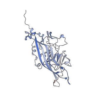 21668_6wh7_o_v1-3
Capsid structure of Penaeus monodon metallodensovirus following EDTA treatment