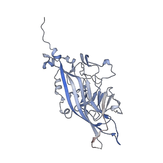 21668_6wh7_o_v1-4
Capsid structure of Penaeus monodon metallodensovirus following EDTA treatment