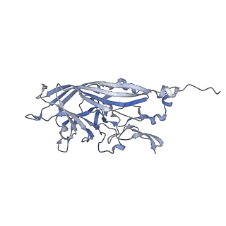 21668_6wh7_p_v1-3
Capsid structure of Penaeus monodon metallodensovirus following EDTA treatment