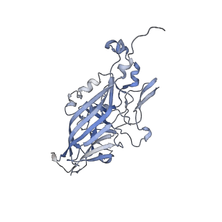 21668_6wh7_q_v1-3
Capsid structure of Penaeus monodon metallodensovirus following EDTA treatment