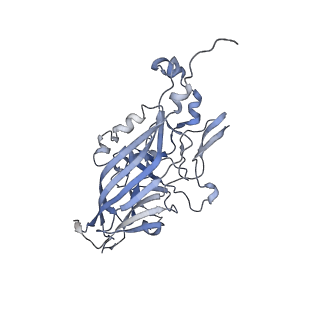 21668_6wh7_q_v1-4
Capsid structure of Penaeus monodon metallodensovirus following EDTA treatment