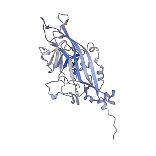 21668_6wh7_r_v1-3
Capsid structure of Penaeus monodon metallodensovirus following EDTA treatment
