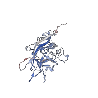 21668_6wh7_t_v1-3
Capsid structure of Penaeus monodon metallodensovirus following EDTA treatment